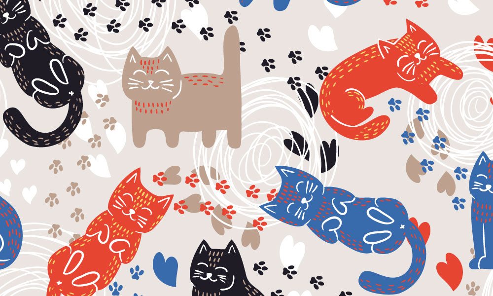 gatos