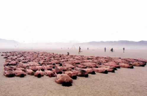 tunick3